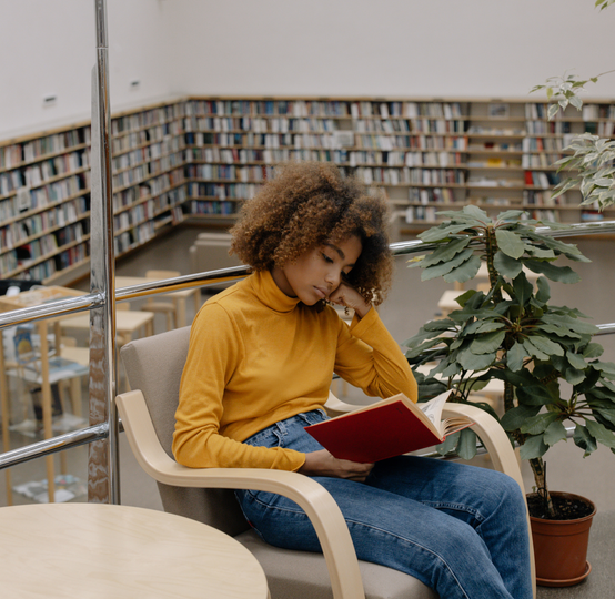 LES EDITIONS DES MONTS BANGU